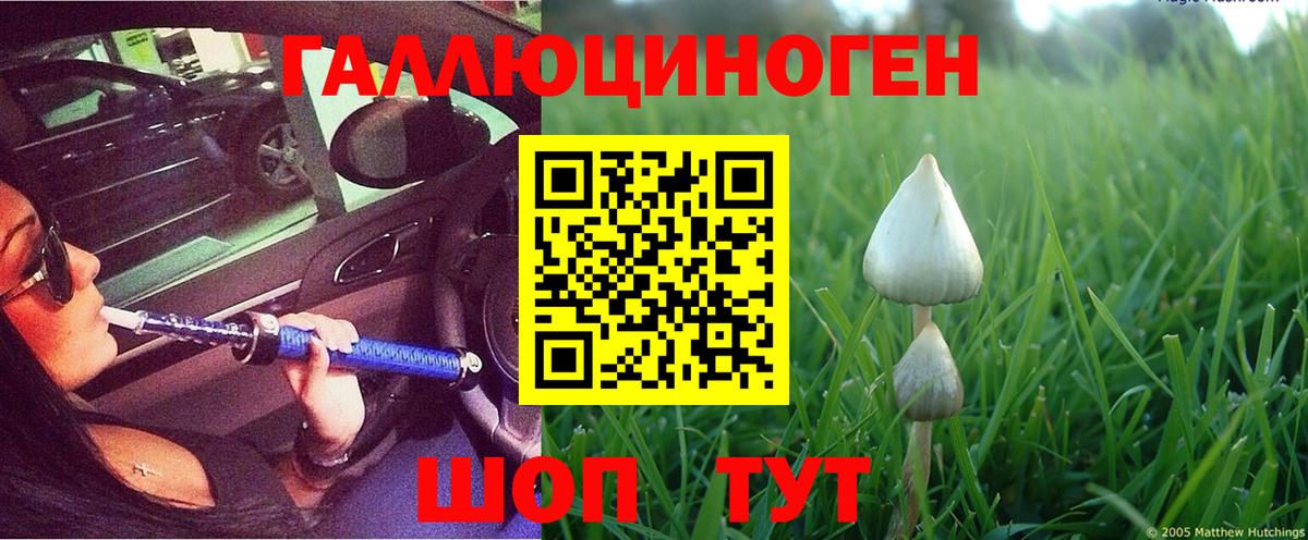 Галлюциногенные грибы GOLDEN TEACHER Кулебаки