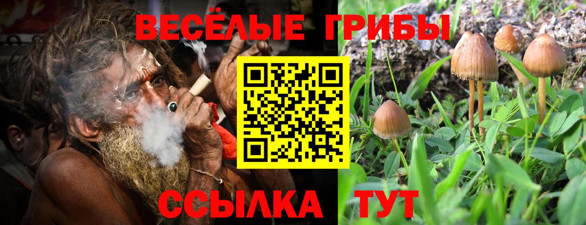 Галлюциногенные грибы MAGIC MUSHROOMS  Вход с VPN  Кулебаки 