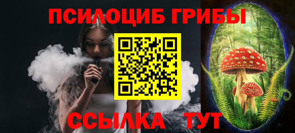 Галлюциногенные грибы Psilocybe  Кулебаки 